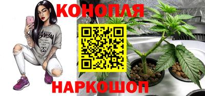 соль ск Чебоксары