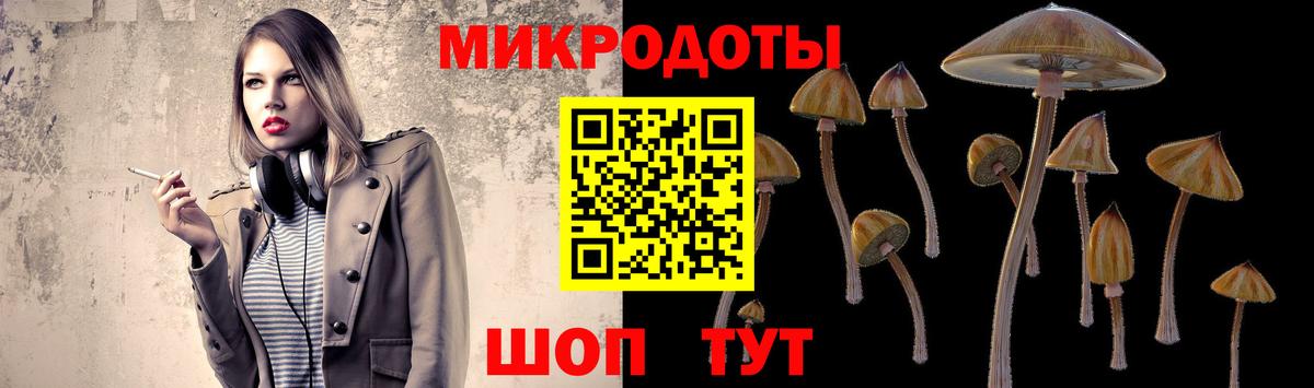 Богородицк  Галлюциногенные грибы ЛСД  Вход с VPN 